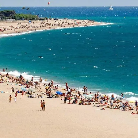 Palma *