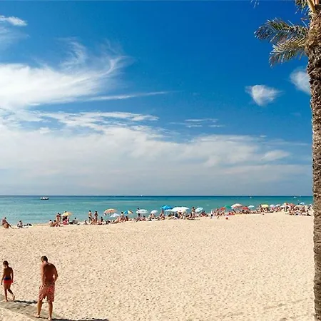 Palma *