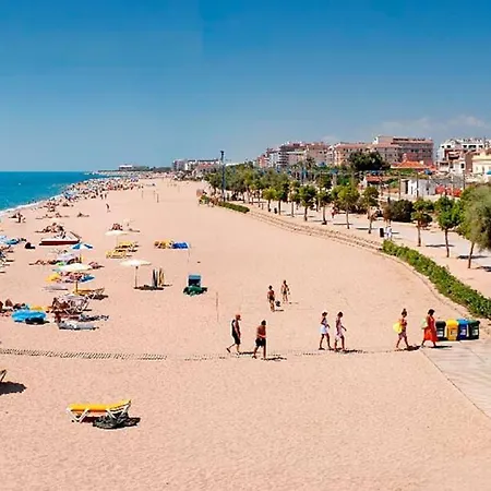 Palma *