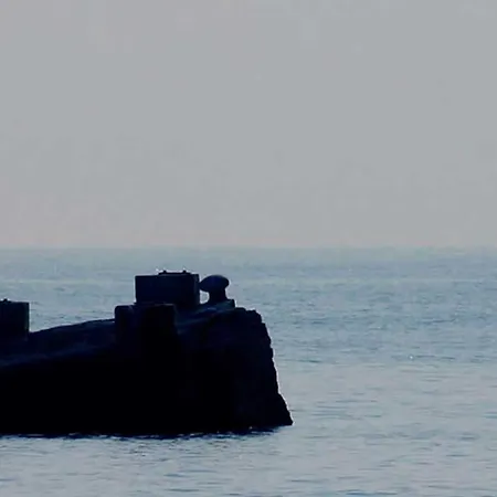 Palma *