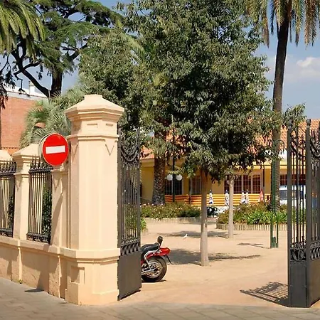 Palma *